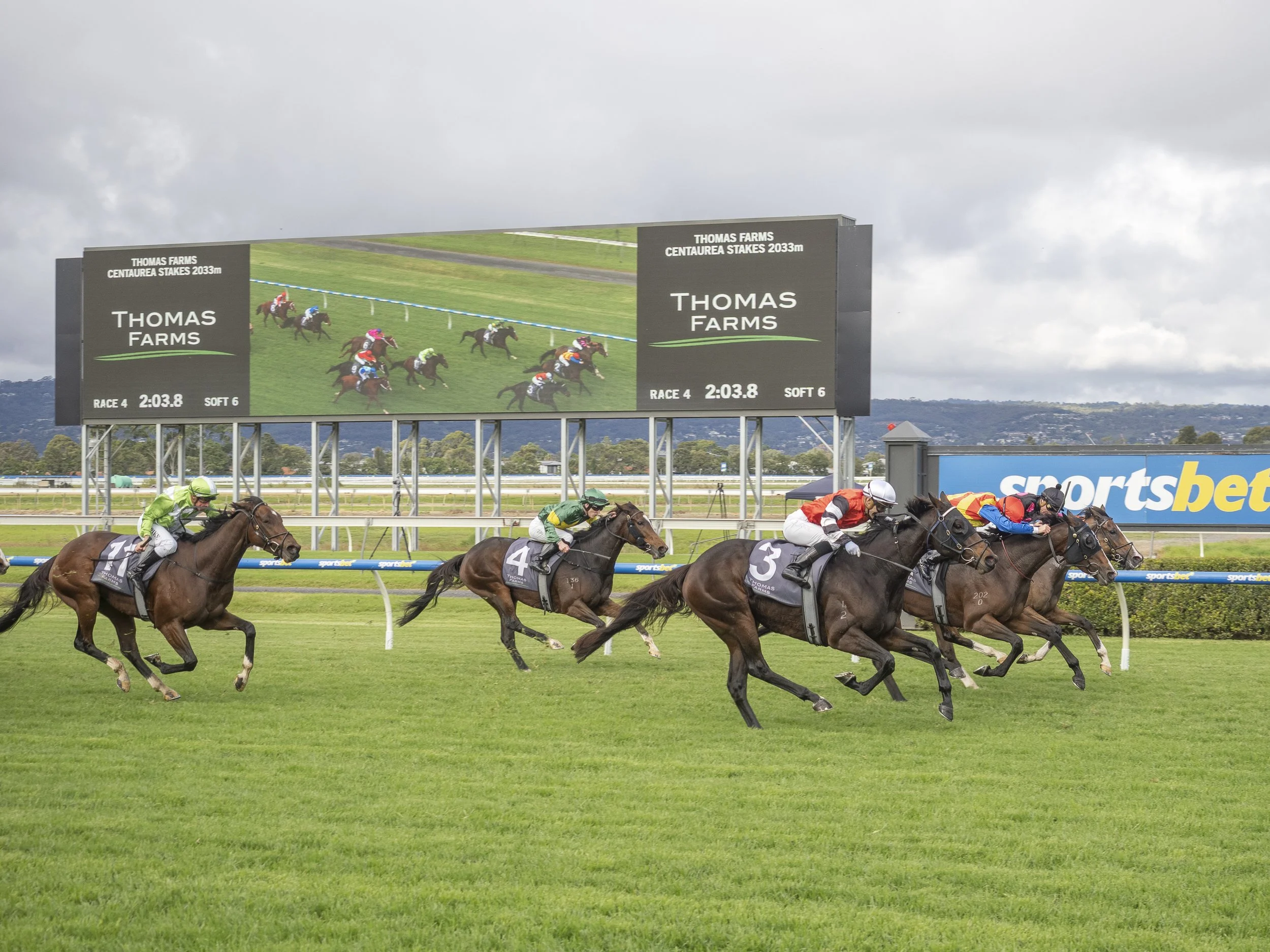 GREG HICKMAN WATCHED PRIVATE LEGACY’S CENTAUREA STAKES WIN FROM AFAR ...