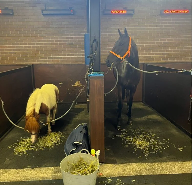 KAREN OWEN WOULDN’T SWAP HER JOB FOR QUIDS — JOHN TAPP RACING