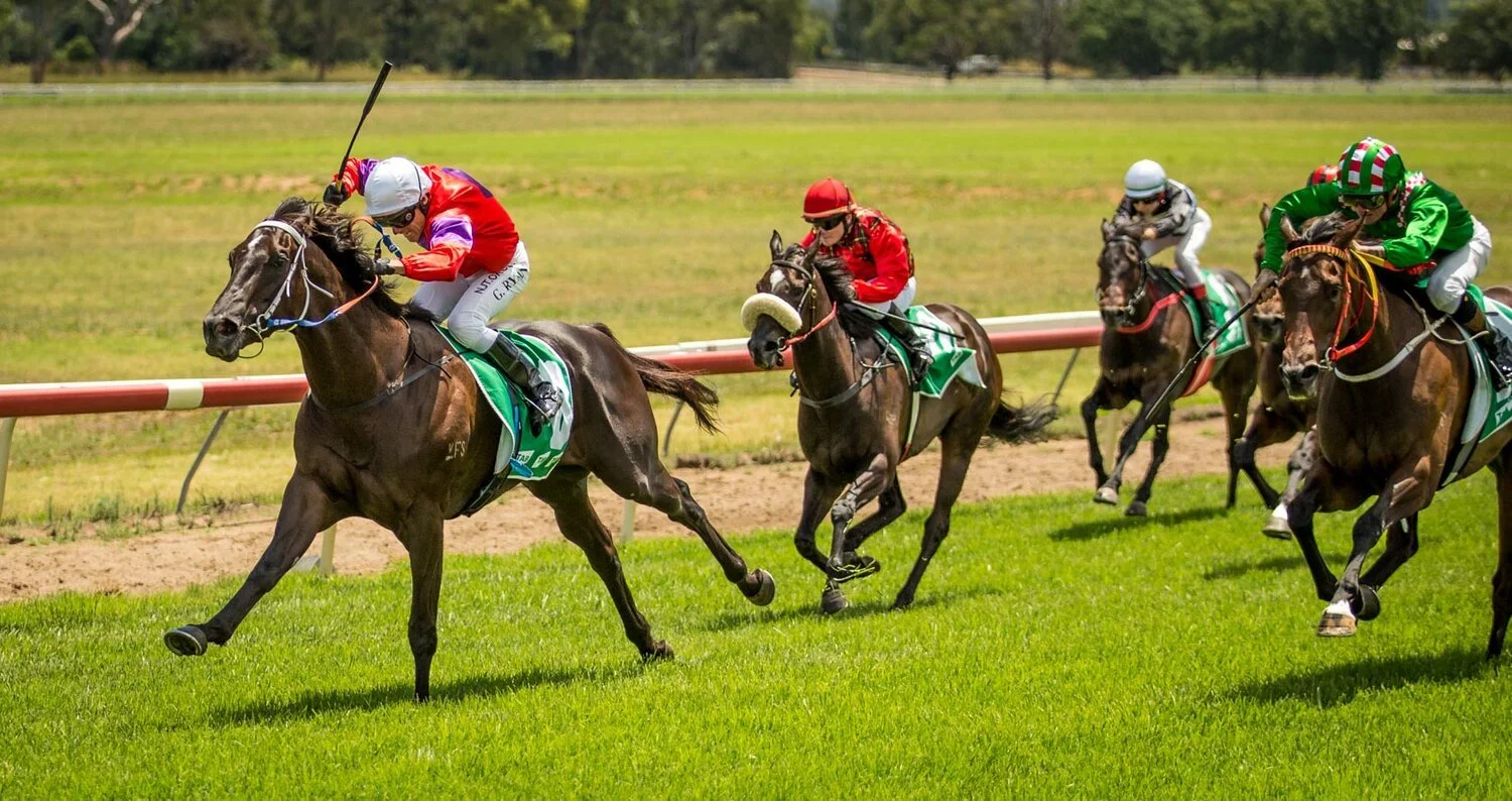 DON’T JUMP TO CONCLUSIONS. GREG RYAN WAS ONLY DOING A FAVOUR FOR A MATE ...