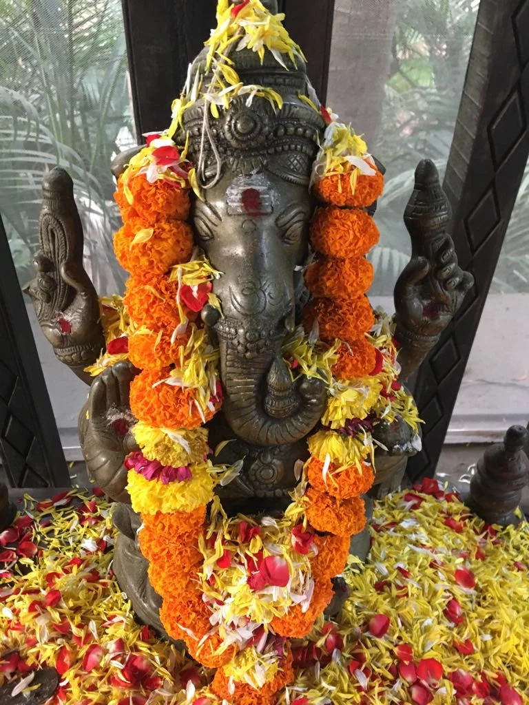 Begin at the Beginning