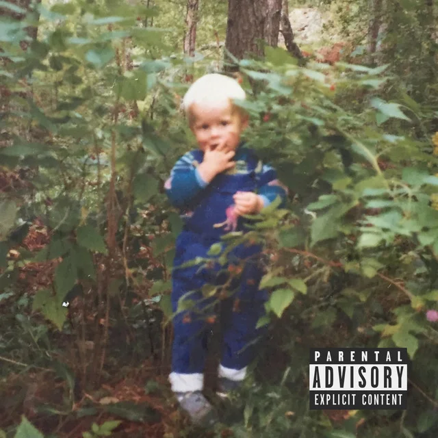 Wild Nature vol. 1 by Wild Nature (2018)