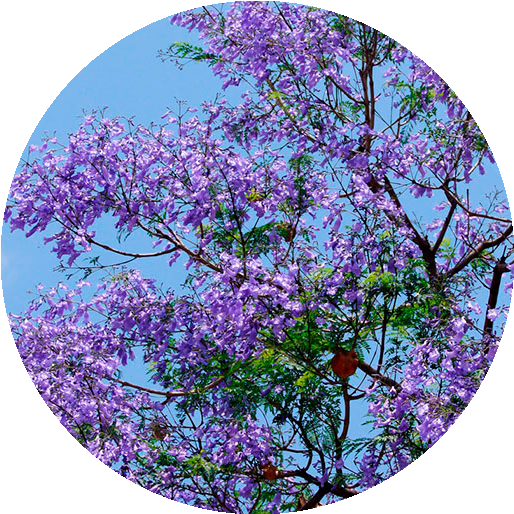 CC_20190414_210850.png