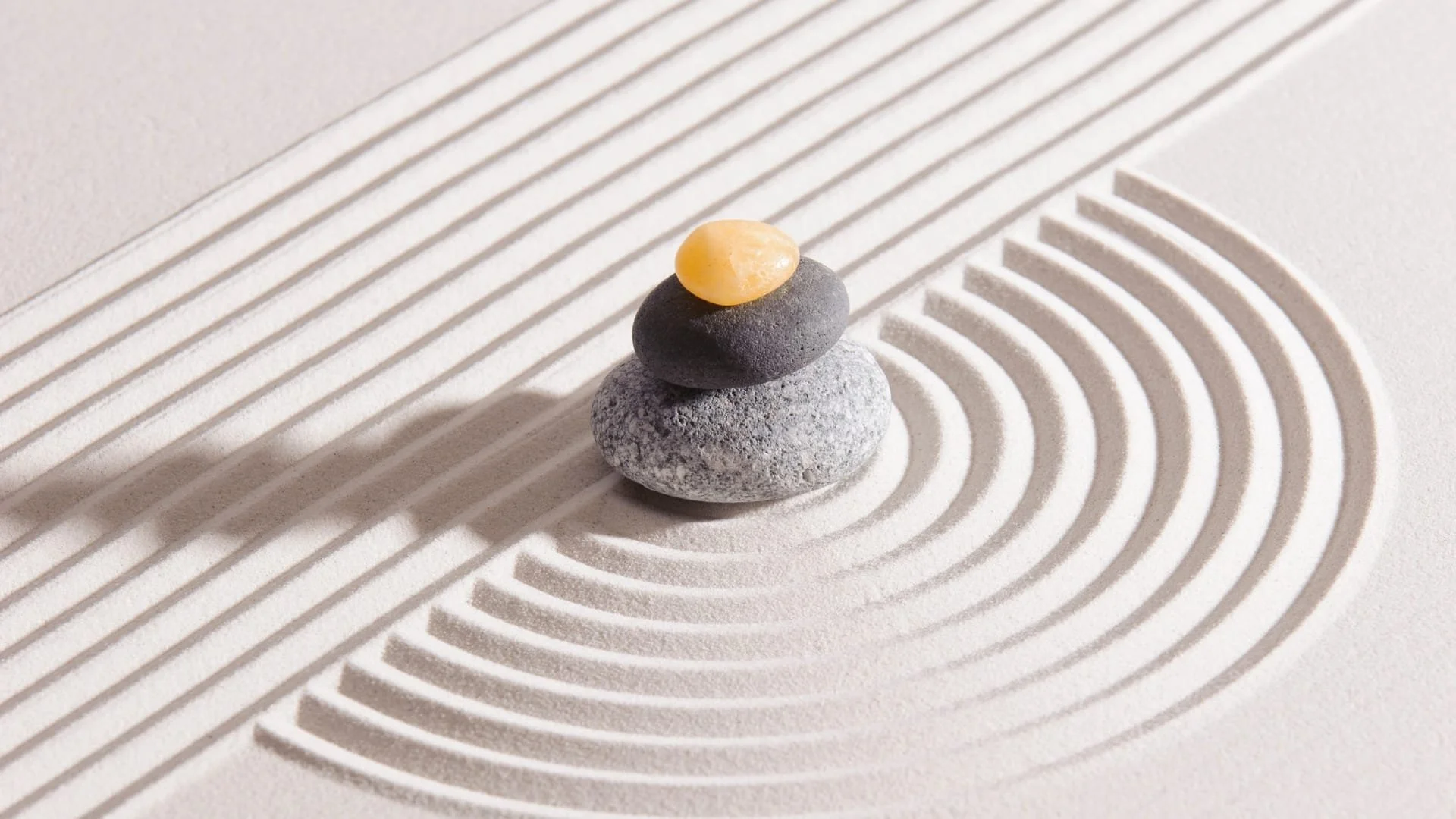 WhatsApp Image 2022-08-24 at 3.45.17 PM.jpeg