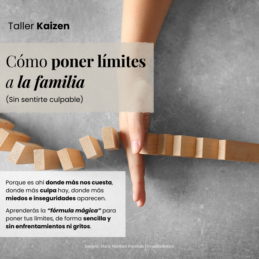 Taller poner limites a la familia sin culpa (Valla publicitaria (cuadrado)).png