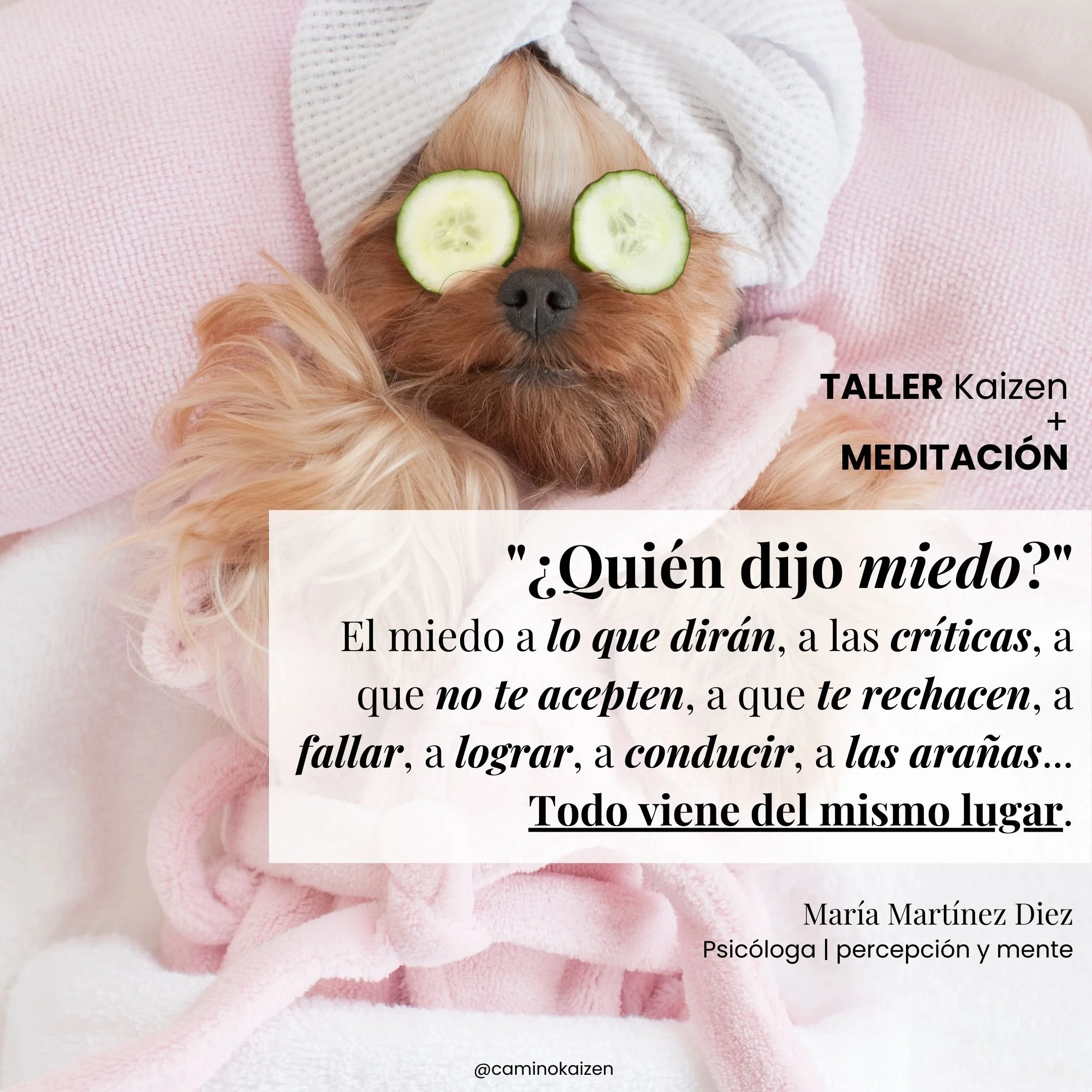 Taller quien dijo miedo.jpg