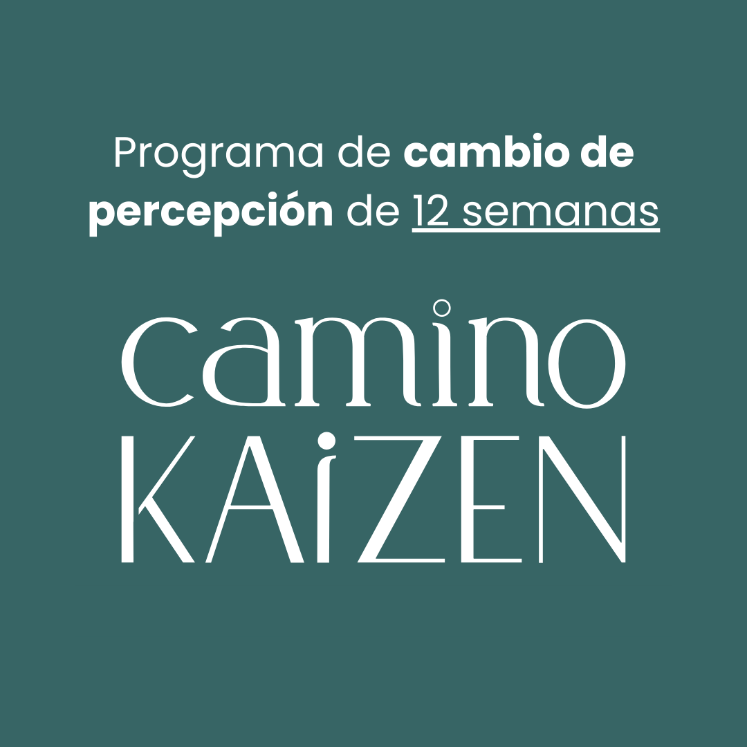 Portada camino kaizen.png