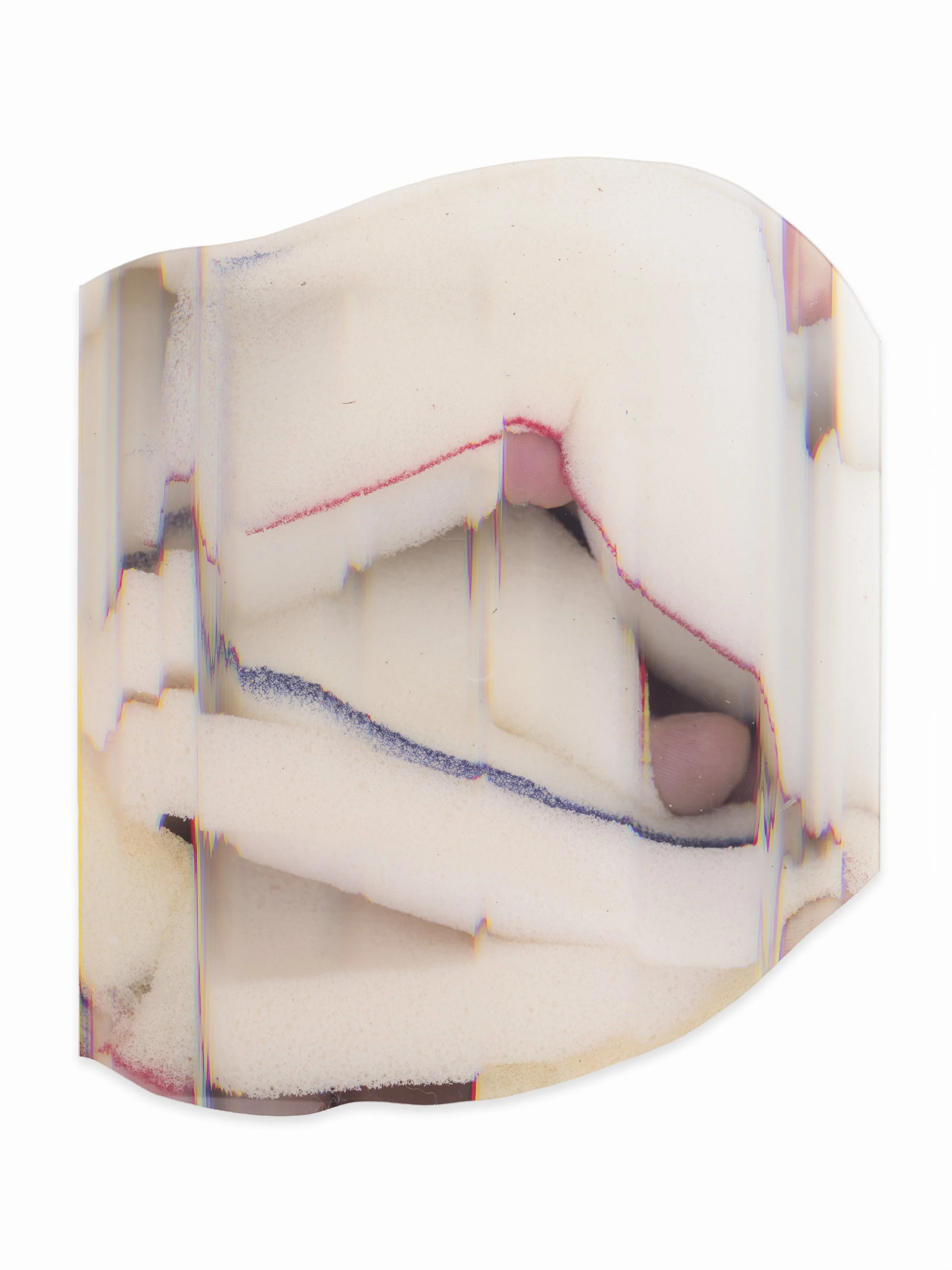 A Taste of Your Own Tail (2021)
70 x 80 cm
photoprint on plexiglass
