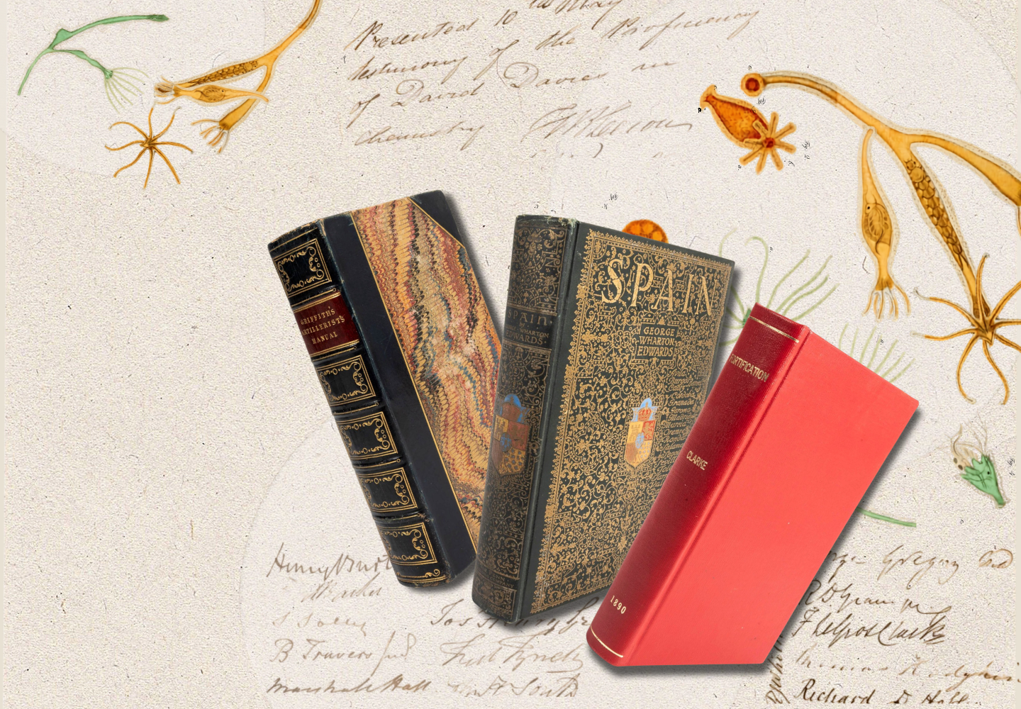 Gray's Homepage (4).png