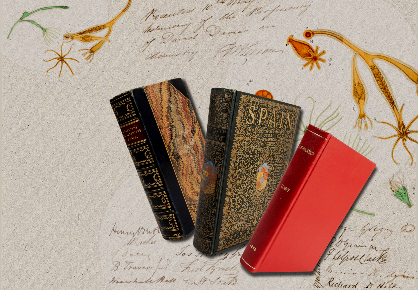 Gray's Homepage (4).png