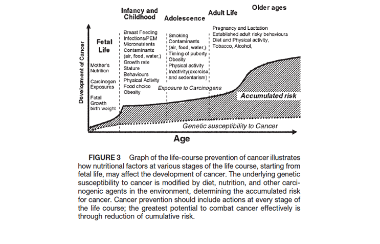 Figure 2. Uauy R, Solomons N. (2005). Diet, nutrition, and the life-course approach to cancer prevention. J. Nutr. , 135(12 Suppl), 2934S-2945S.