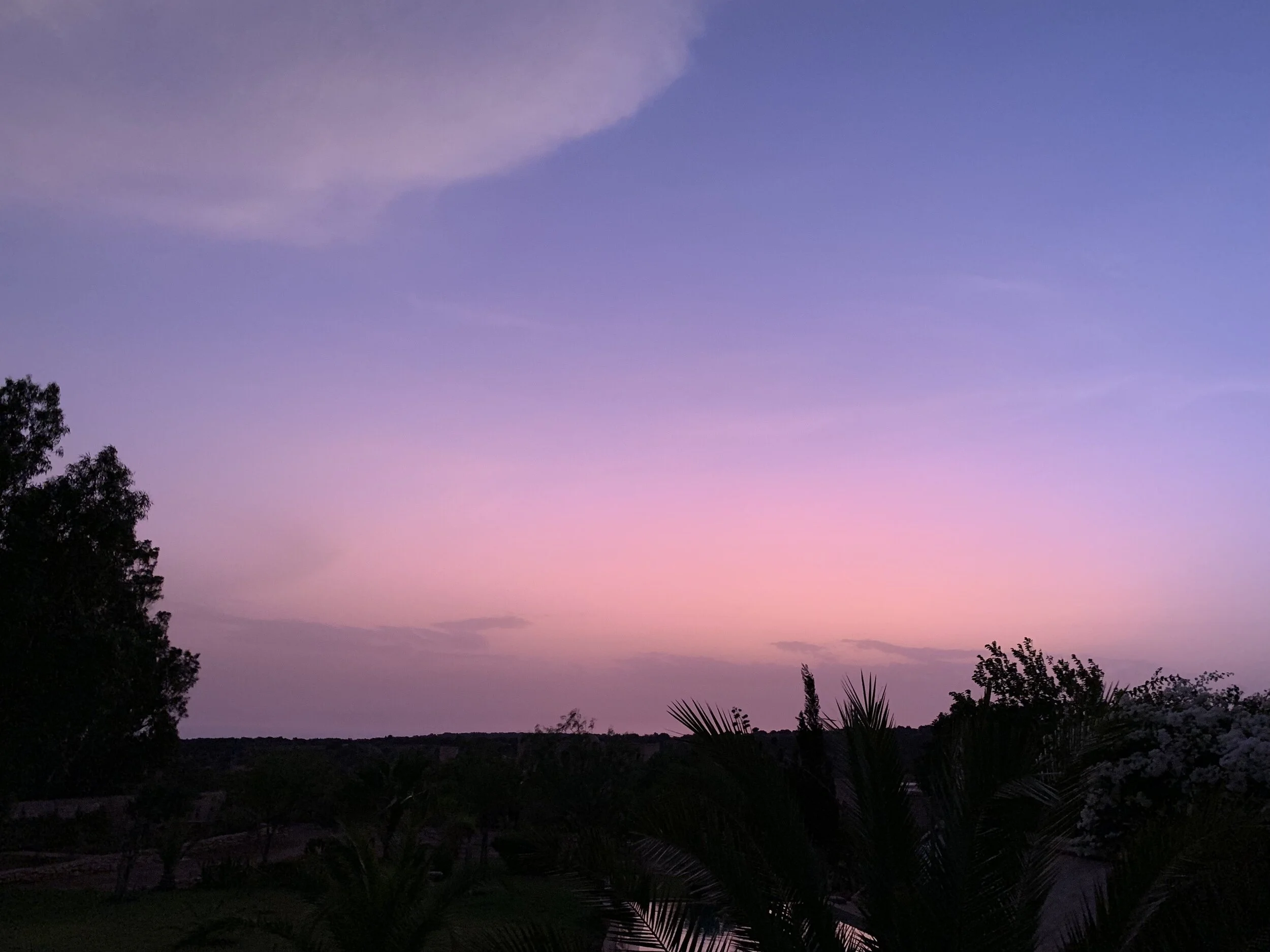 IMG_3066.jpeg