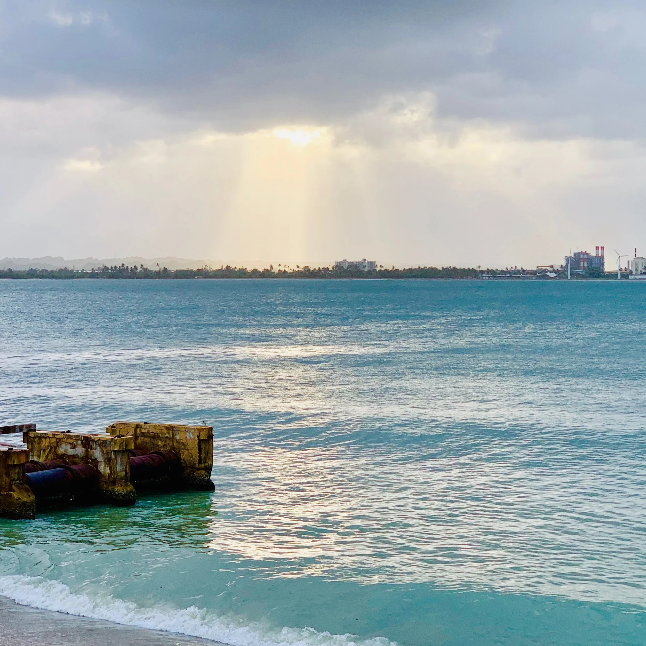 The Healthiest Goldfish Conversations