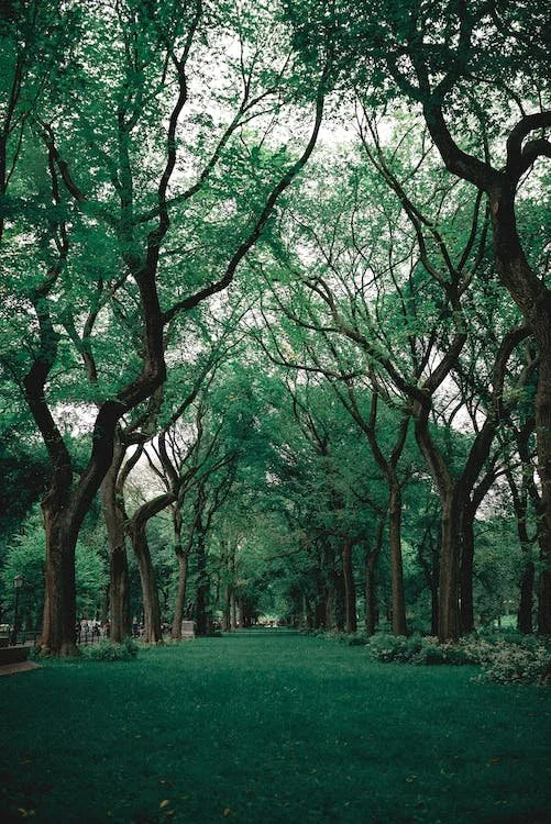Network of the National Library of Medicine Environmental Social Determinants of Health Webinar Series | Virtual