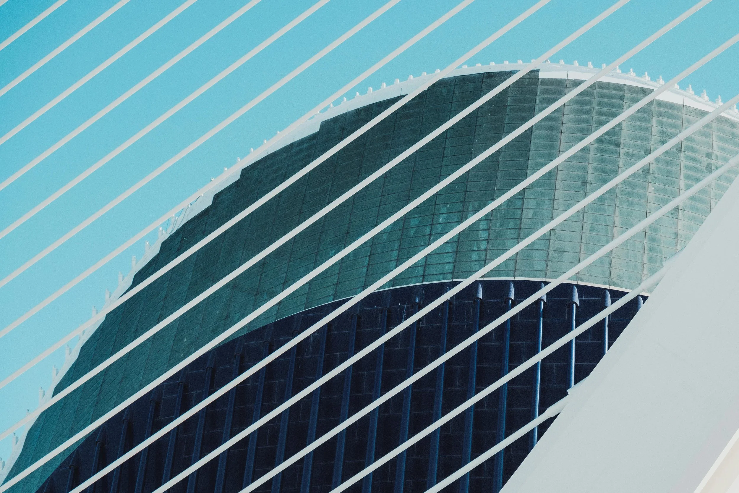 The Future of Public Health Policy Panel | Virtual