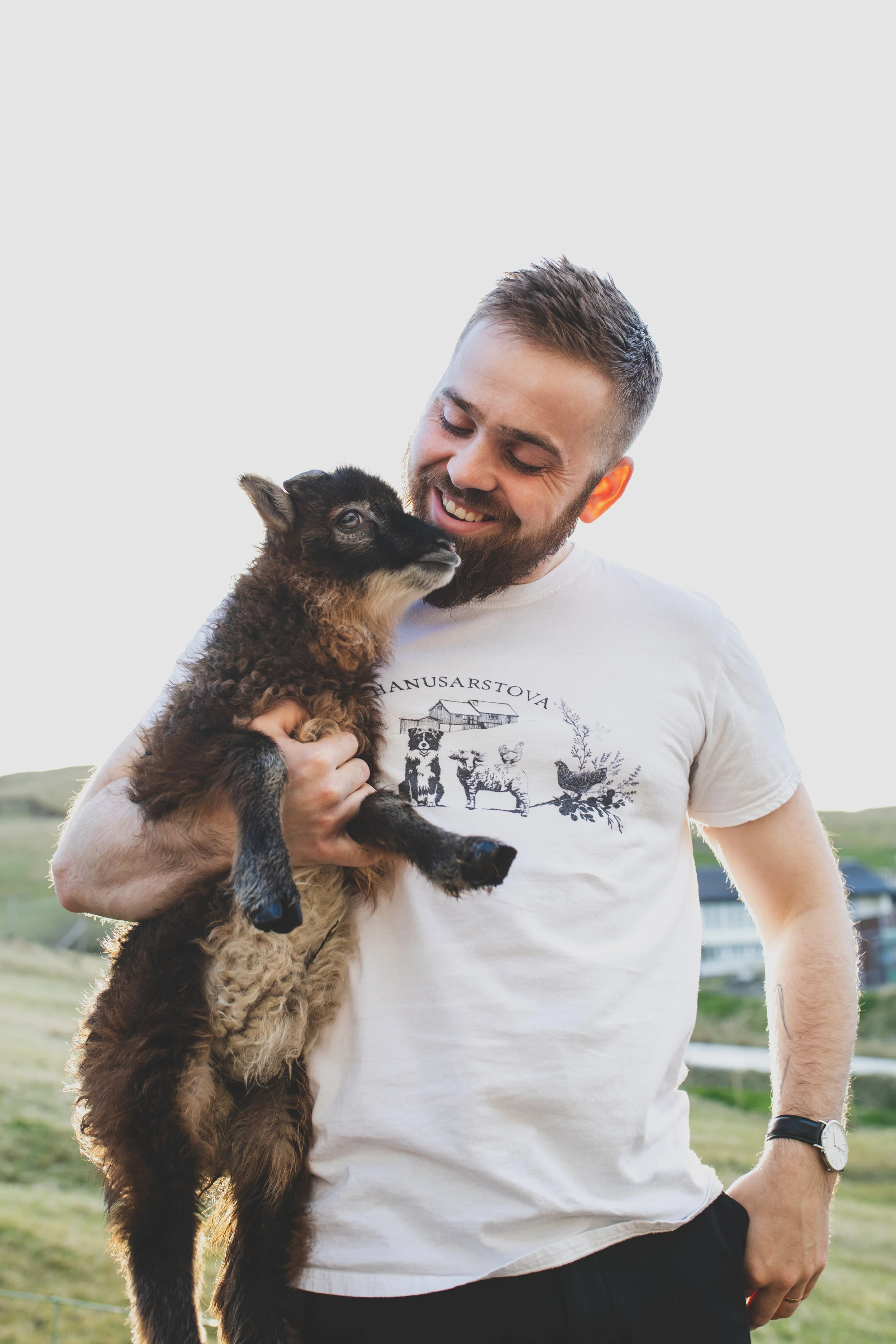 lamb.jpg