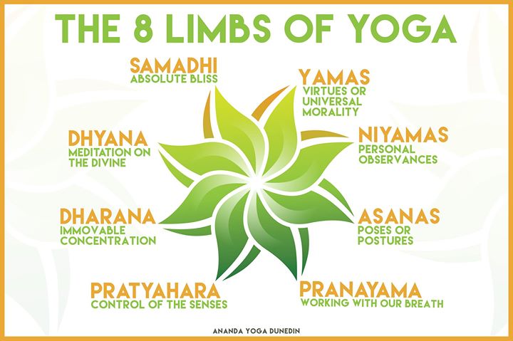 8LimbsofYogaHamilton.jpeg
