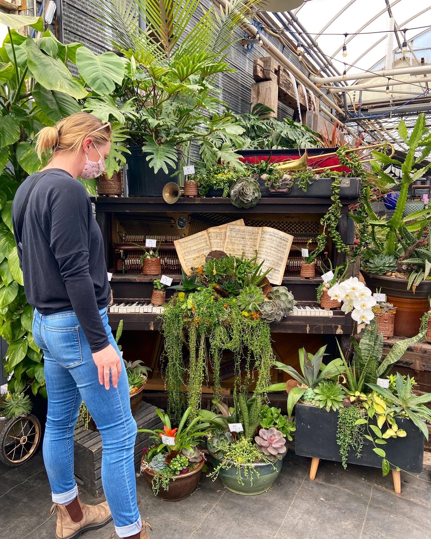 watering_can_vineland_helena.JPG