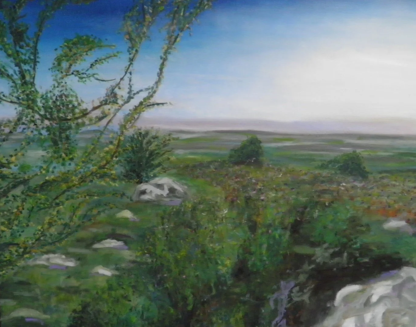 View from the Hill, Oil on Canvas, 75cm x 60cm.JPG