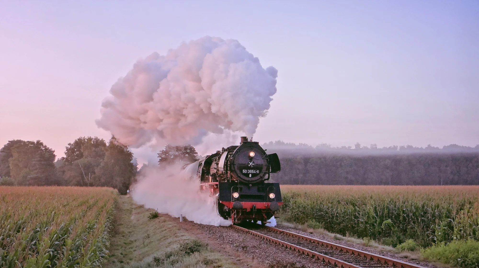 Port Terminal Field Train.jpg