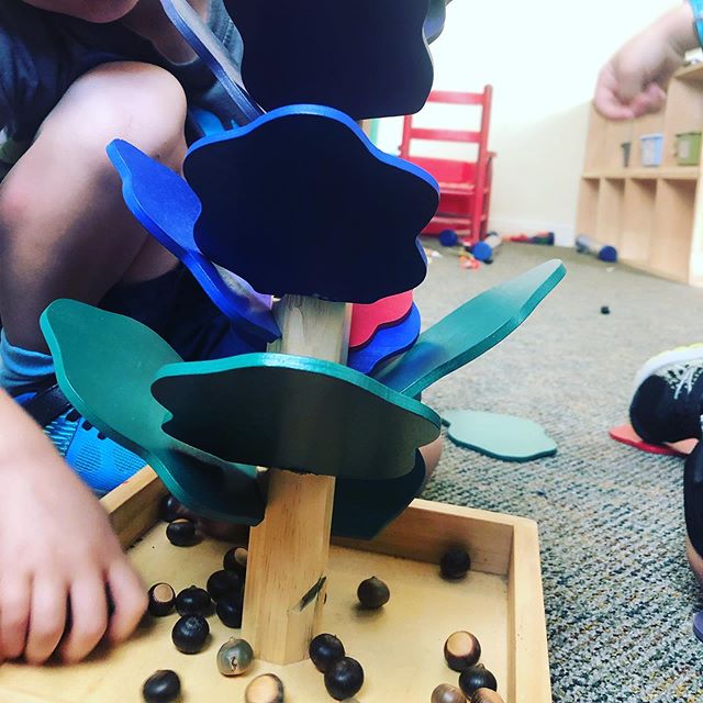 Incorporating our nature finds with our inside play. #letthemplay #myworkisplay #creativeclubhouse #naturemusic