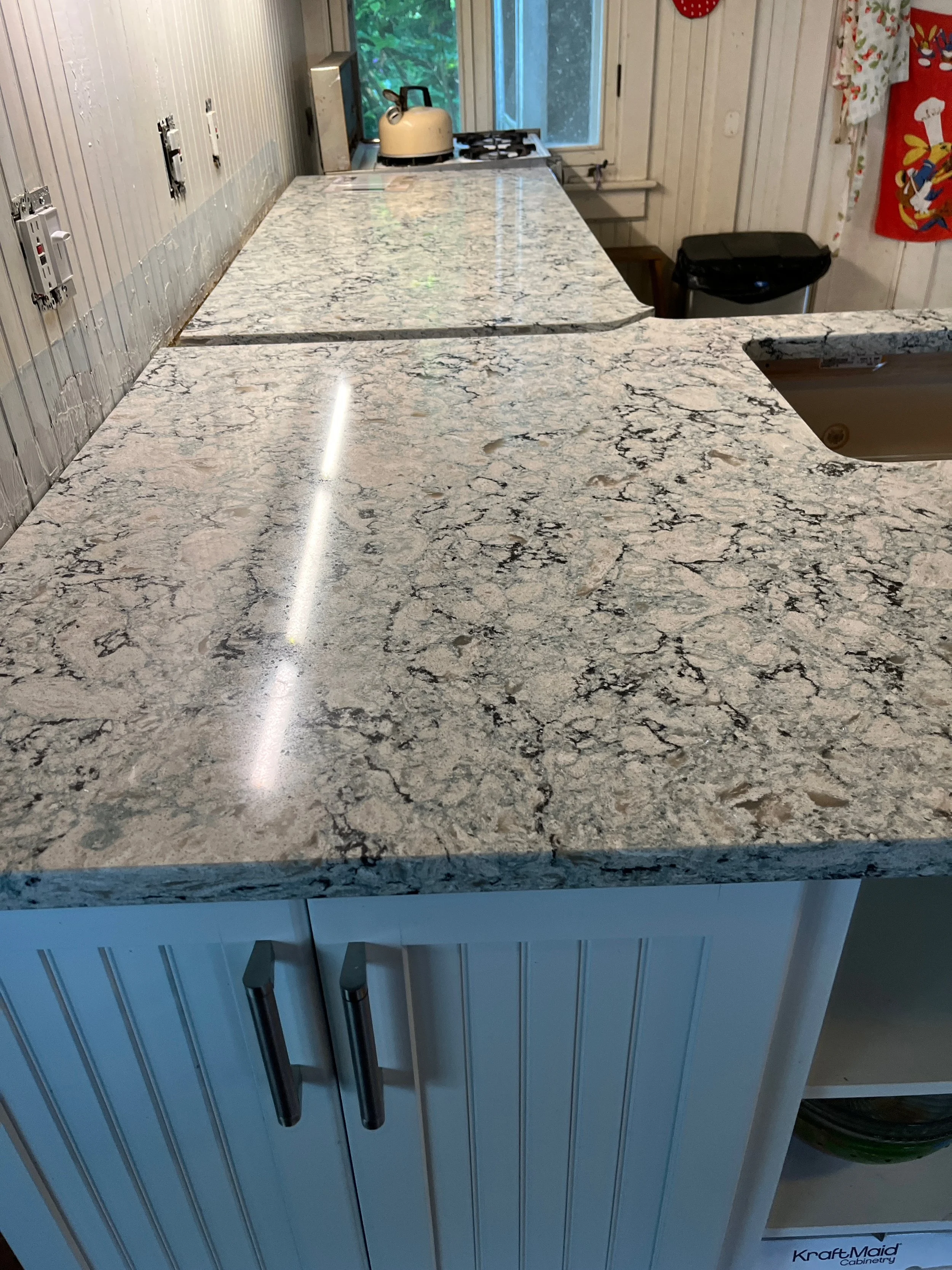 RESIDENTIAL KITCHEN | ONTARIO, CAN.