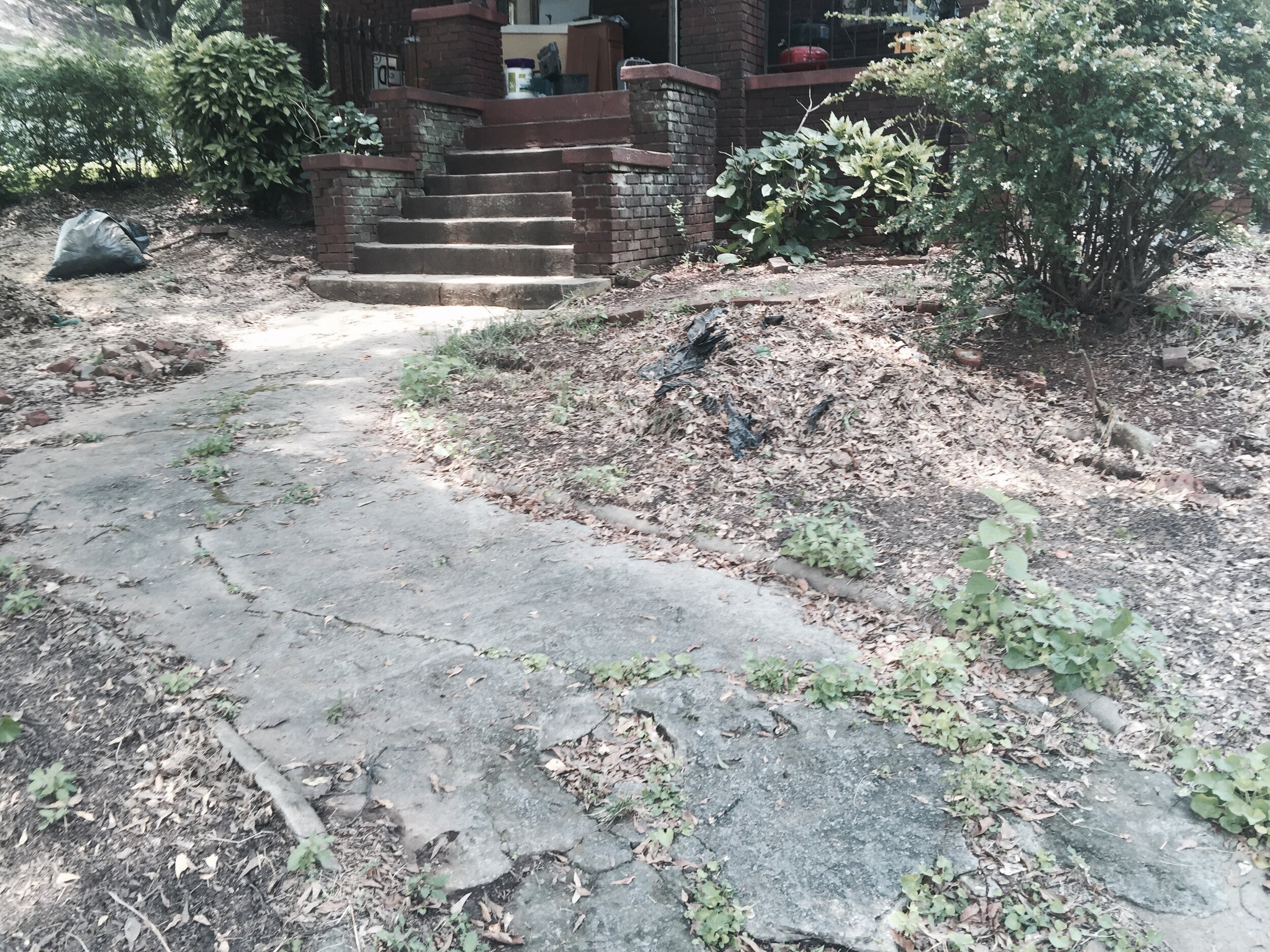 front path 2 - before.jpeg