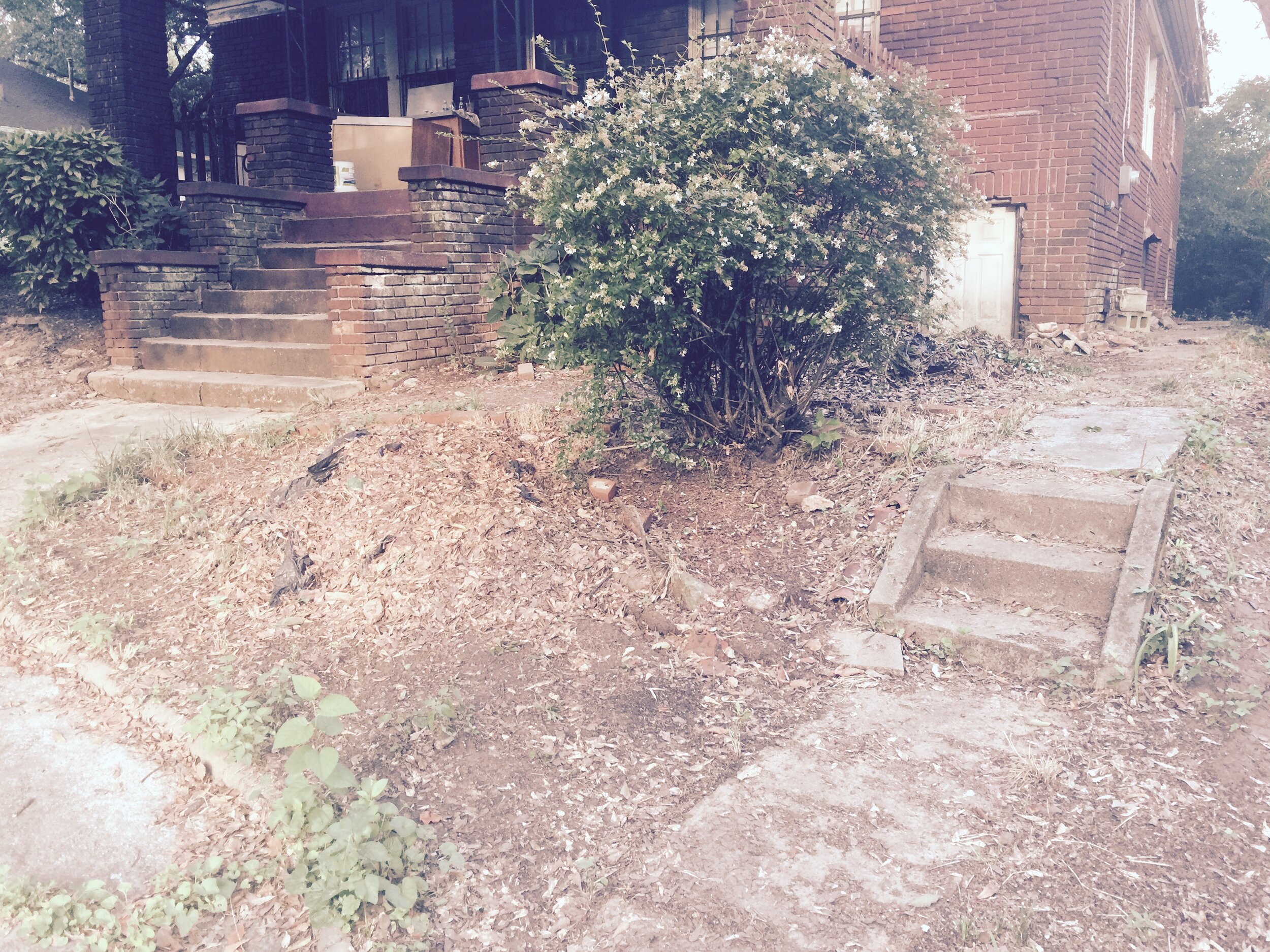 front path 0 - before.jpeg