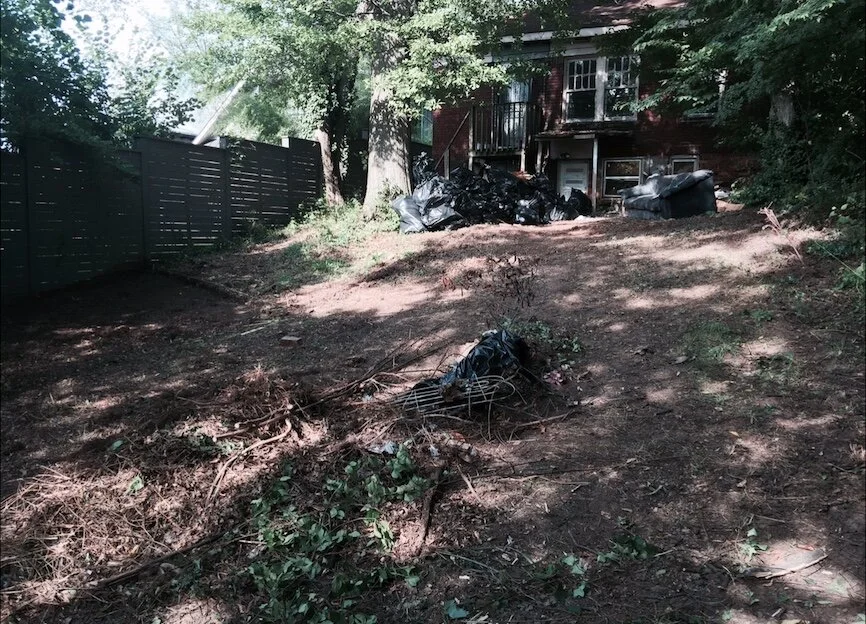Back Yard 1.1 - Before.jpeg
