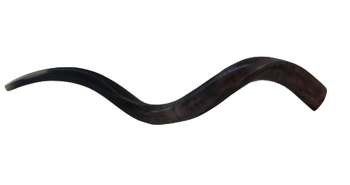 shofar1.png