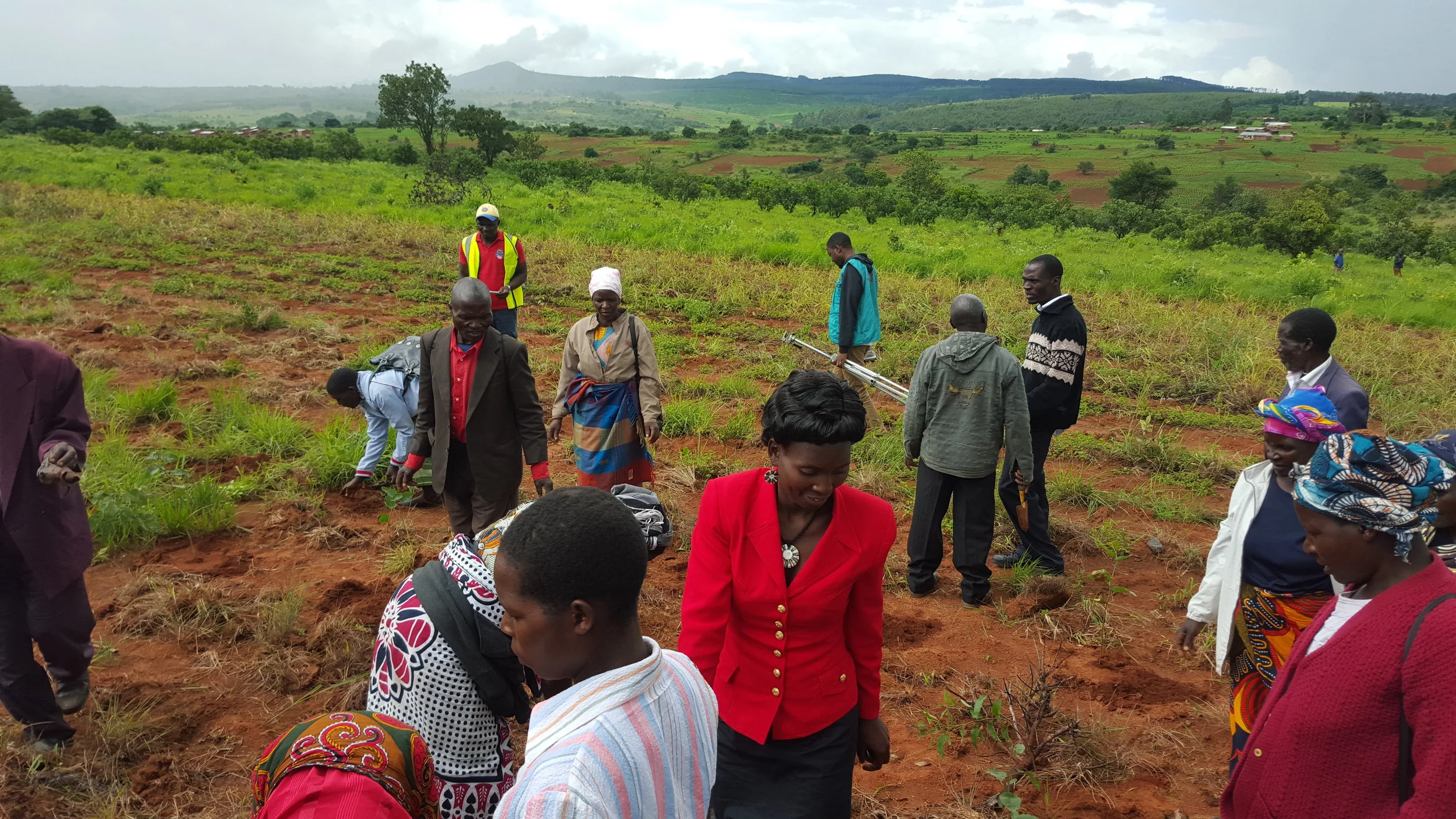 Tree planting day in one of the farmer's fields (2016)