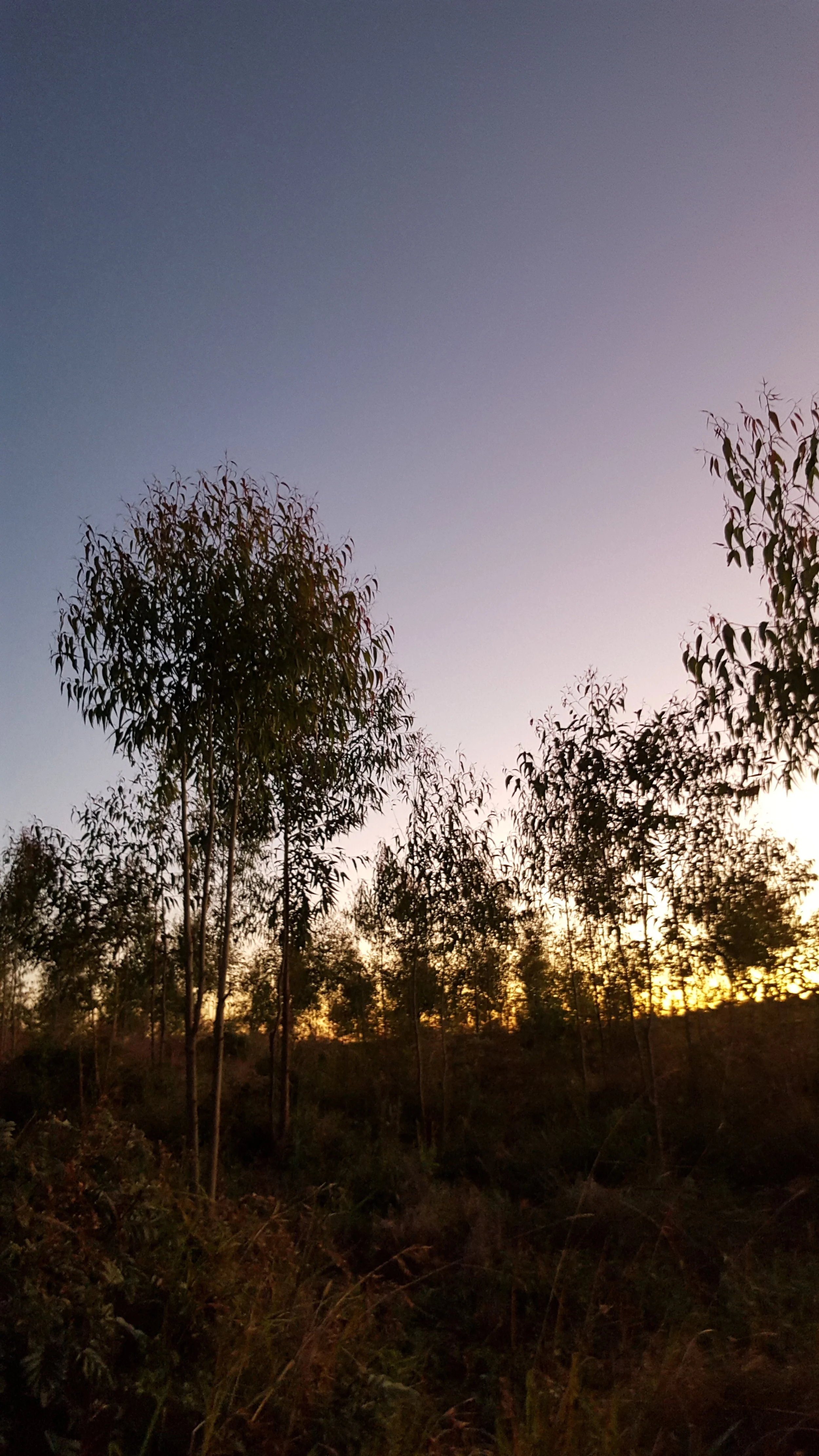 20160511_174724.jpg