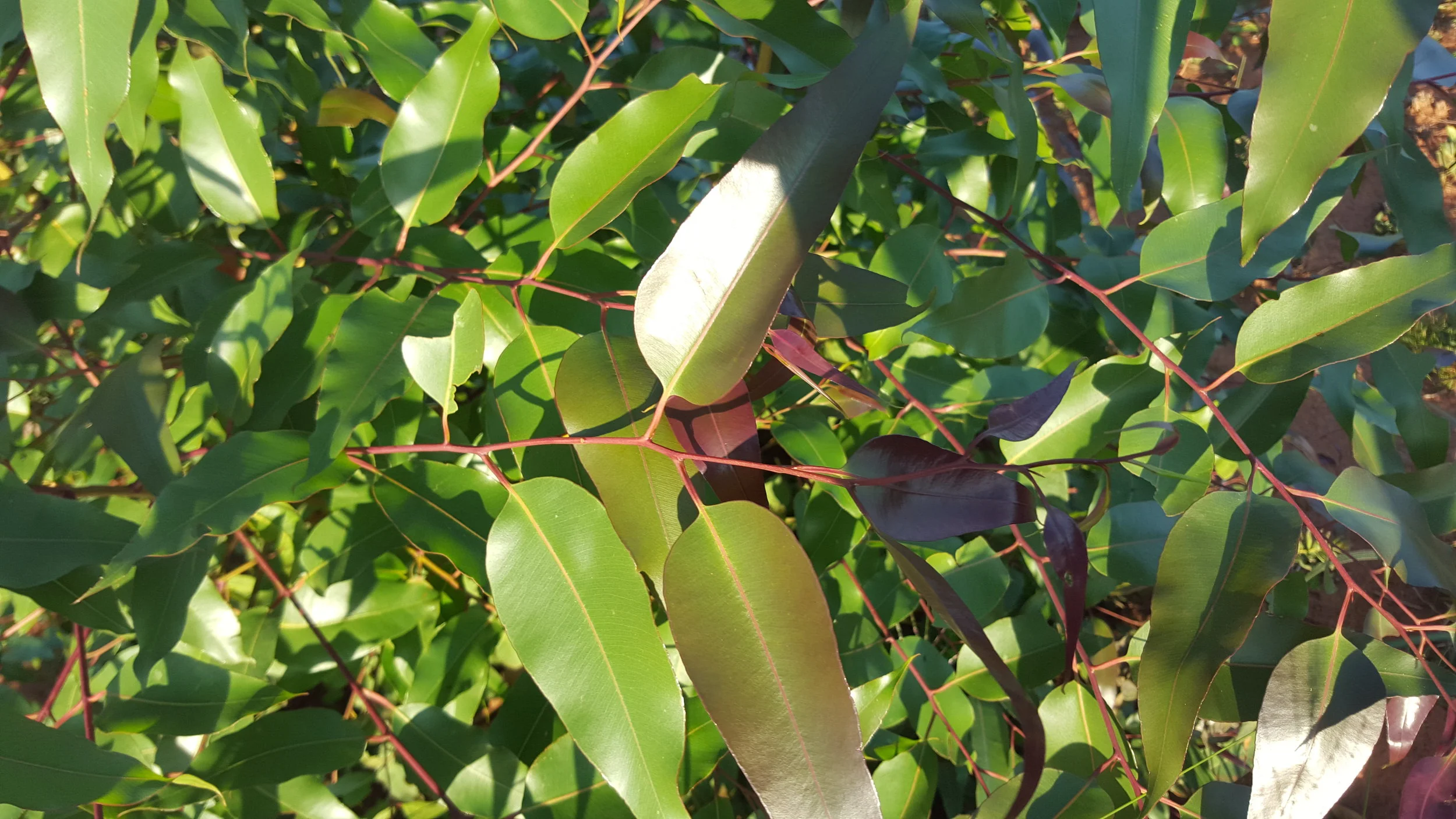 20160223_173542.jpg