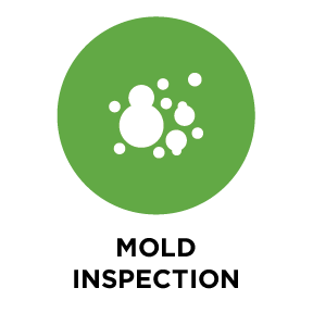 Mold@2x.png