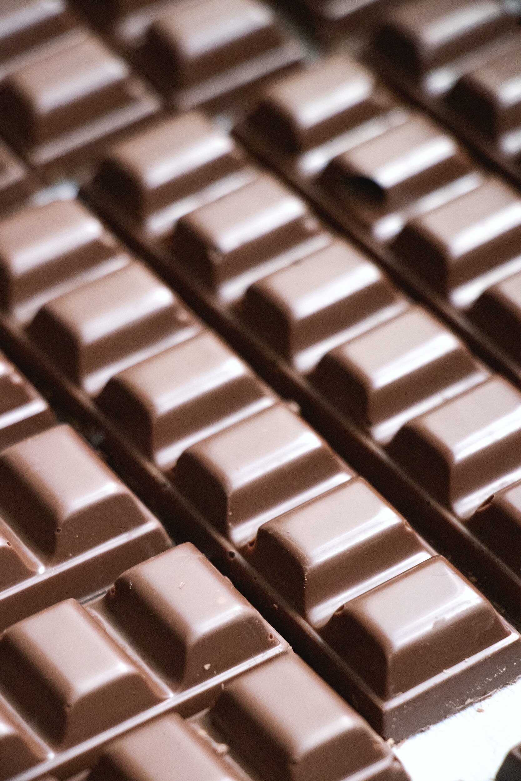 8th Grade Chocolate Fundraiser