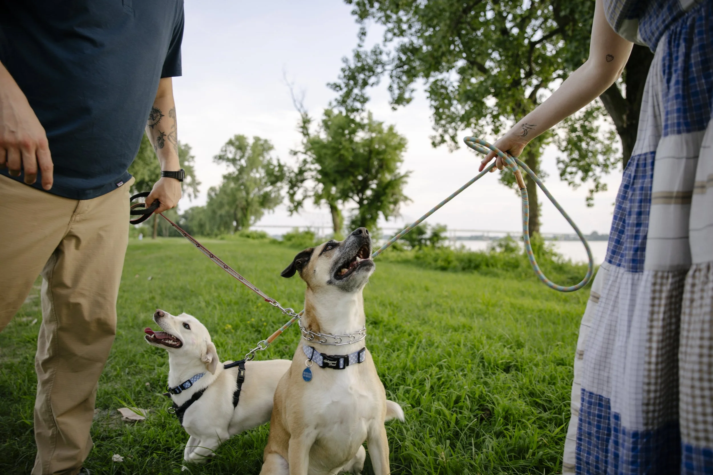 2025-6-27 Hannah + JB Engagement - Mary Gunning-0504 copy.jpg