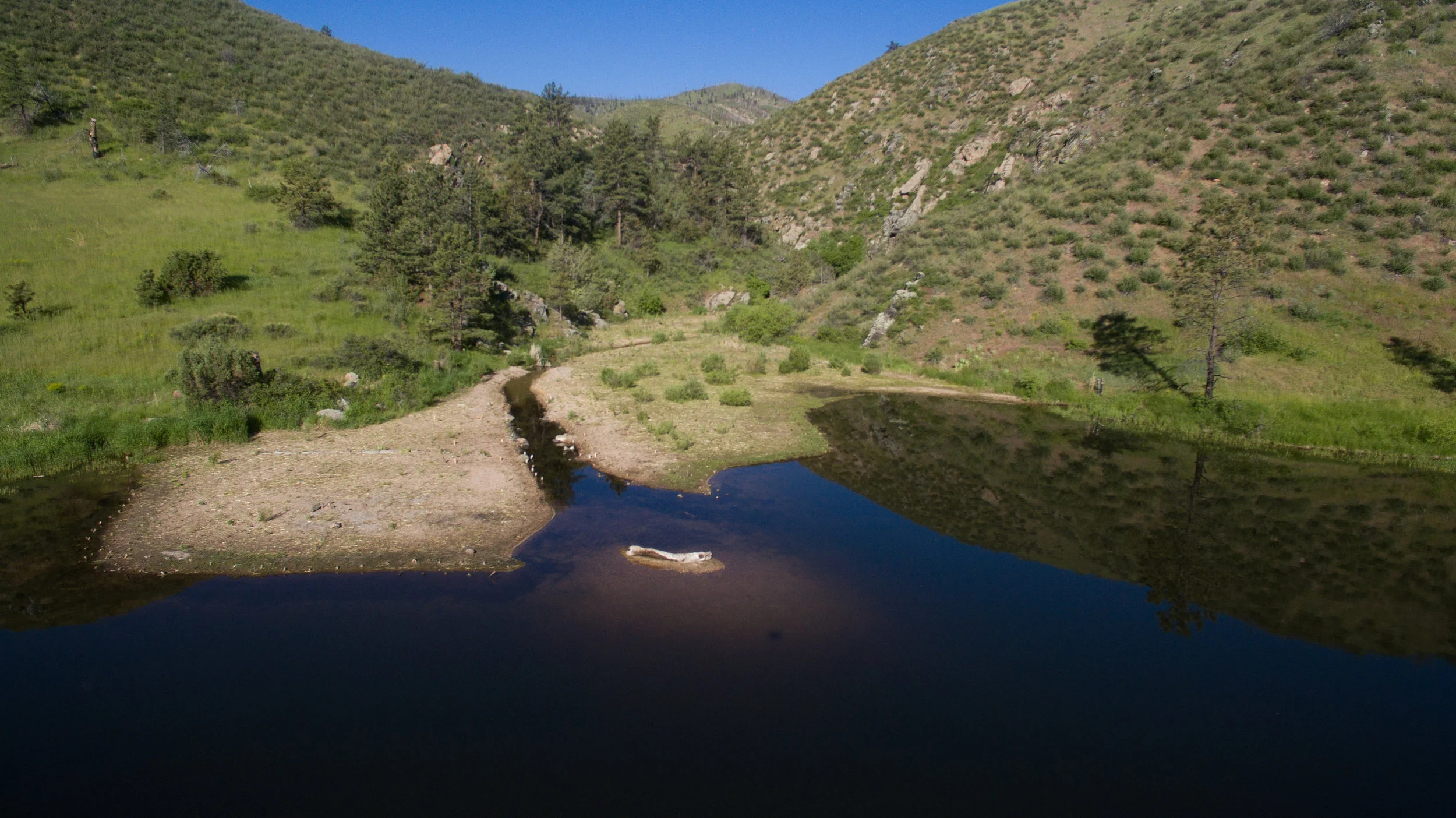 DJI_0050.jpg