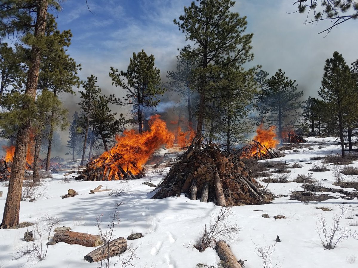 Coalition for the Poudre River Watershed-Canyon Lakes Ranger District Pile  Burning Notice