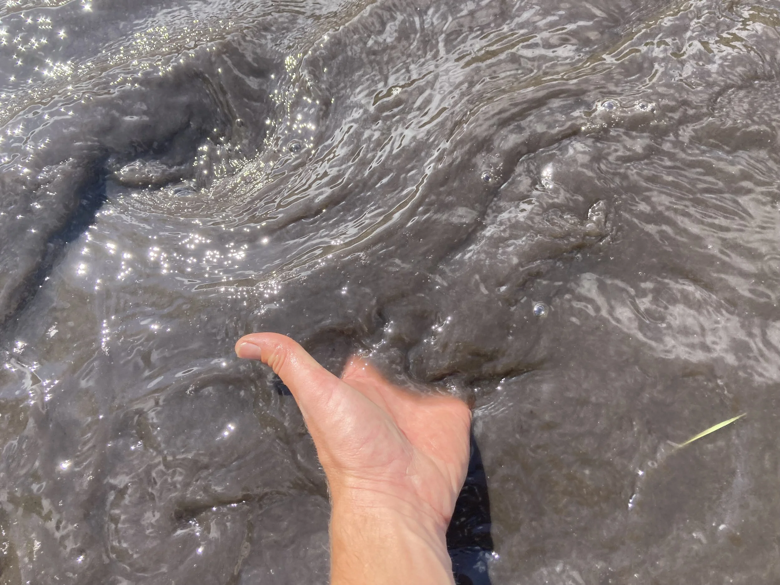 Guest Blog: Managing for Post-Fire Water Quality Impacts