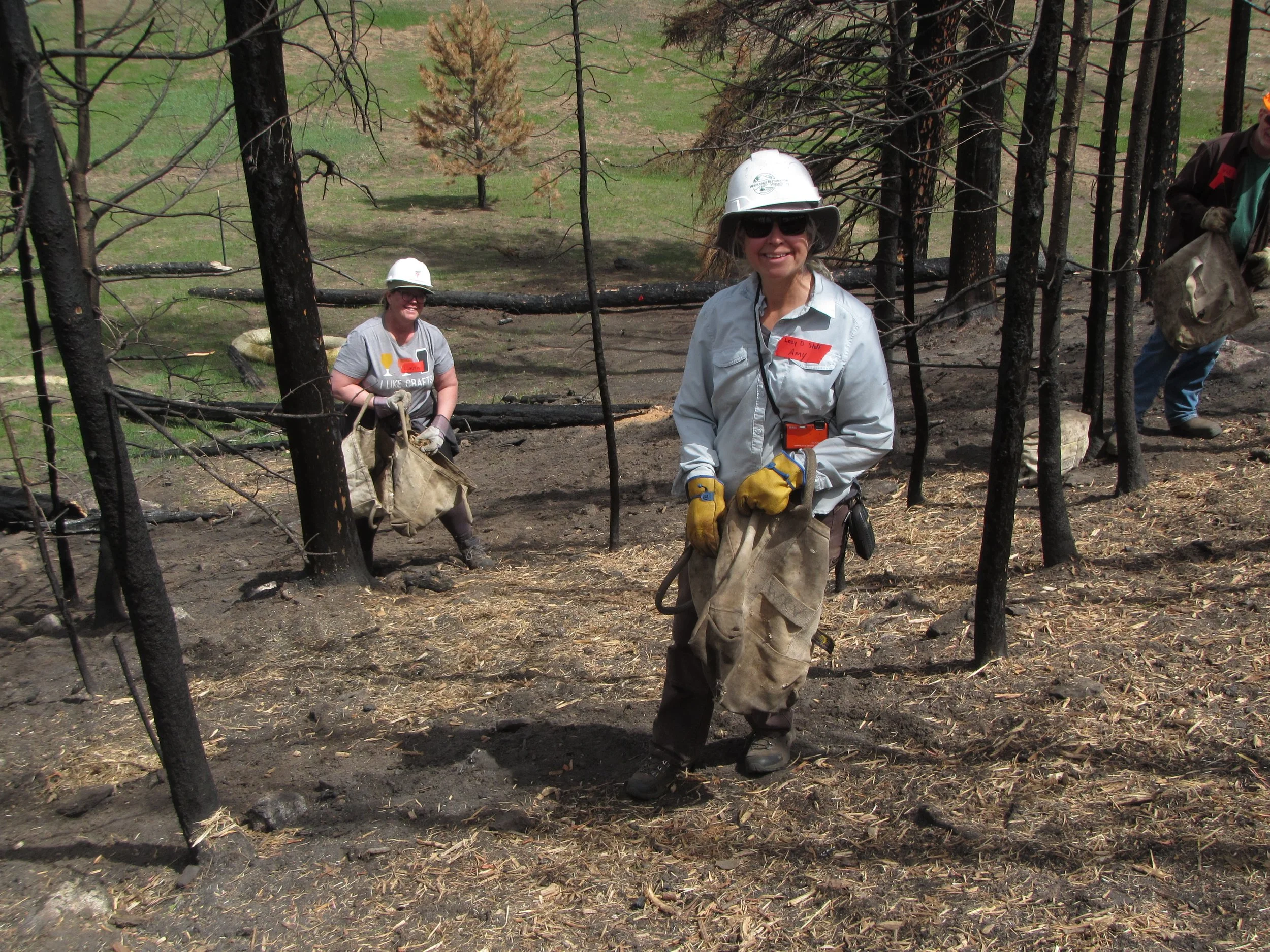 Cameron Peak Post-Fire Restoration – 2021 Accomplishments &amp; Plans for 2022