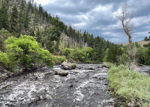 Work continues to address post-fire water quality impacts in Poudre Watershed