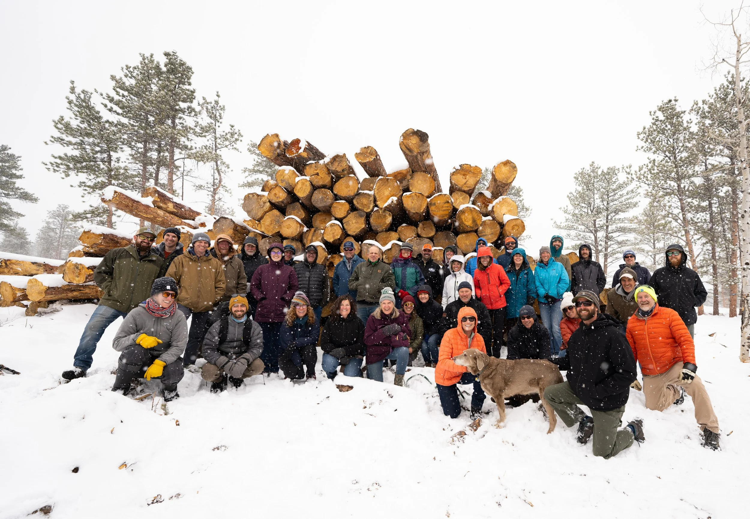 Forests Program Update