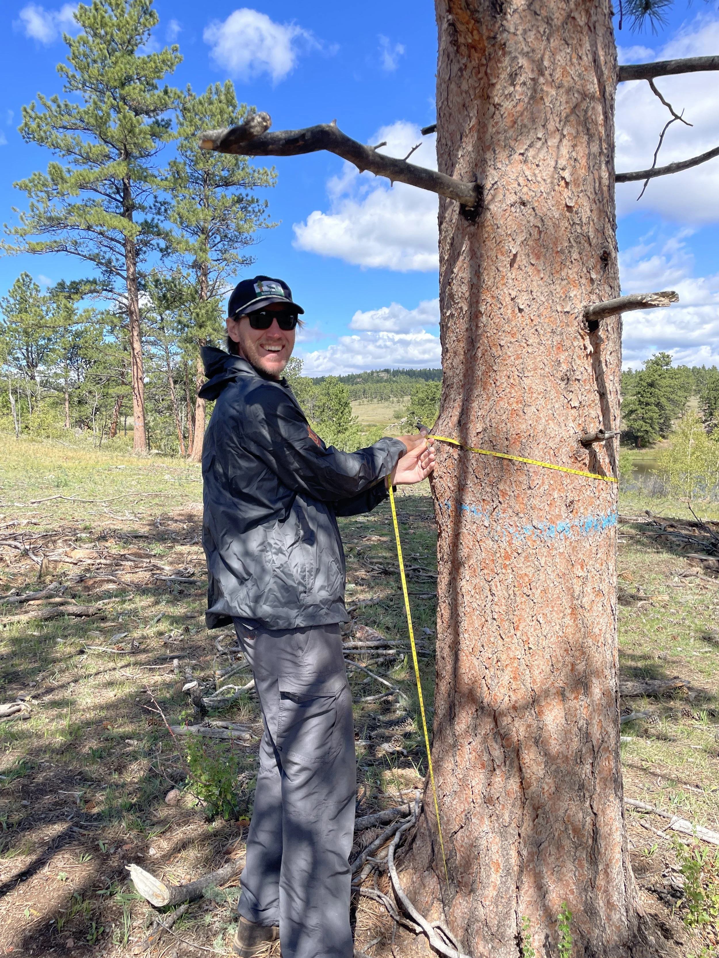 Fall 2023 Forest Program Update