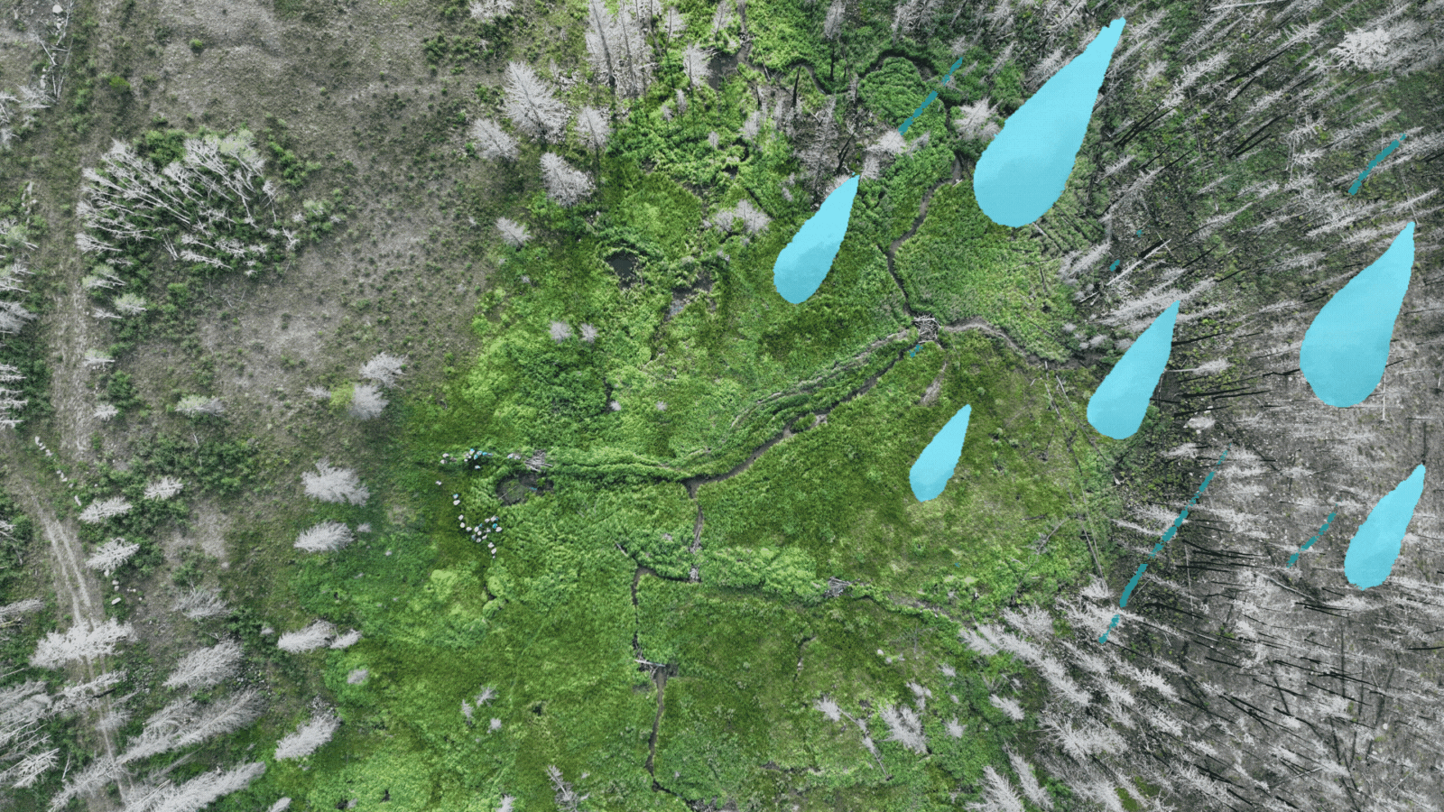 Guest Blog: Let's all pretend we are water droplets! A hydrologic journey through the Poudre River Watershed