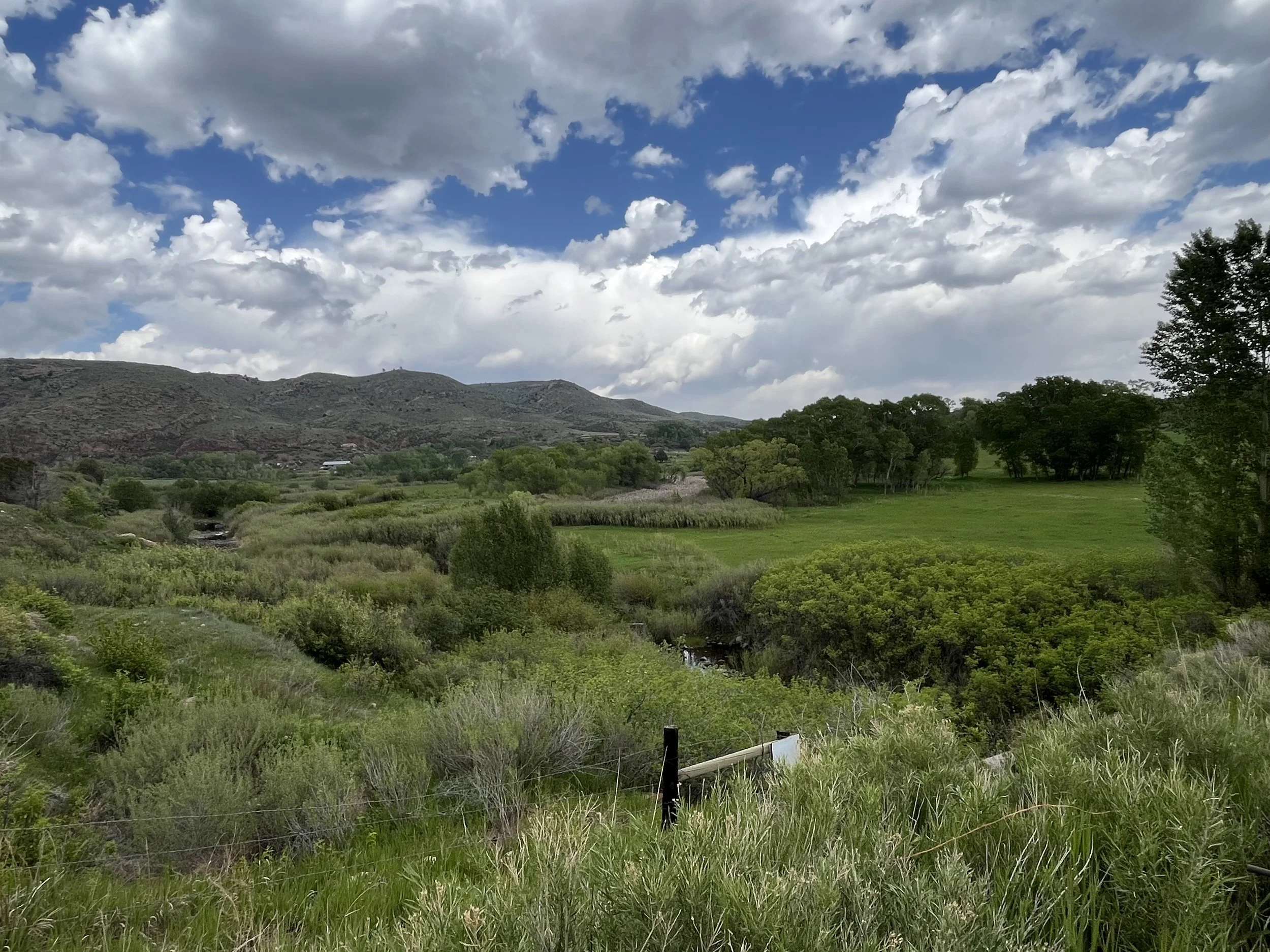 North Fork of the Poudre Healthy Watershed Tour &amp; Open House