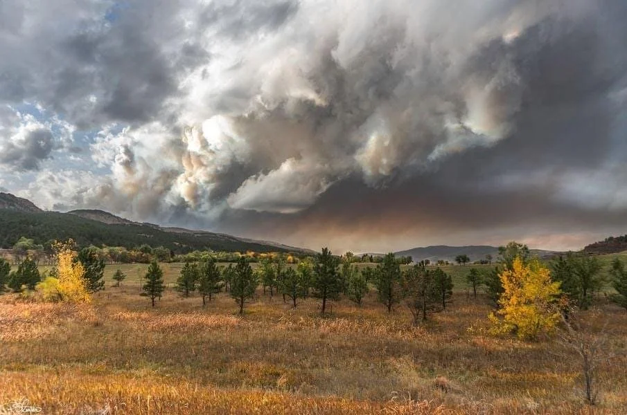 Larimer County and CPRW Awarded $9.6M Community Wildfire Defense Grant
