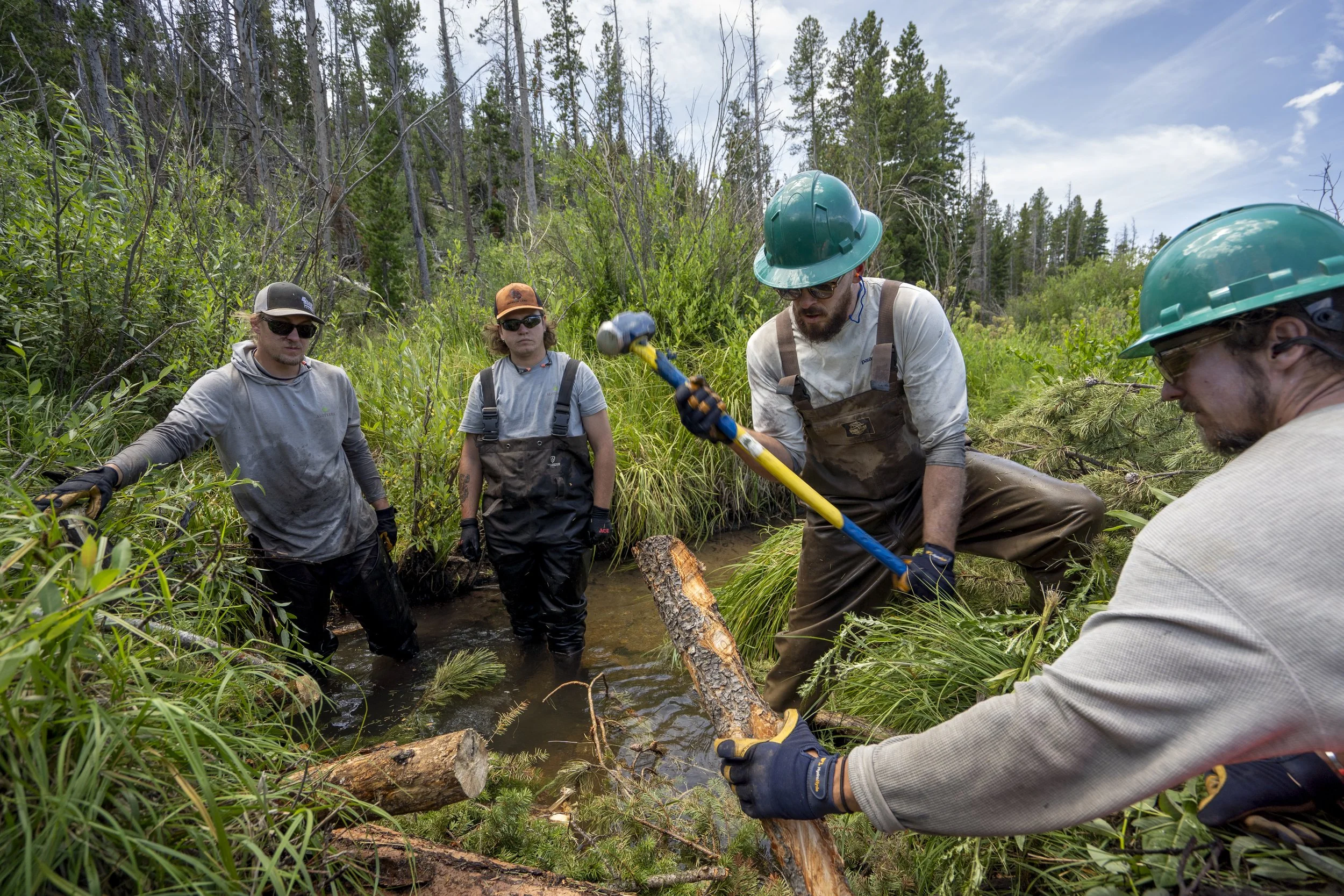 Coalition for the Poudre River Watershed