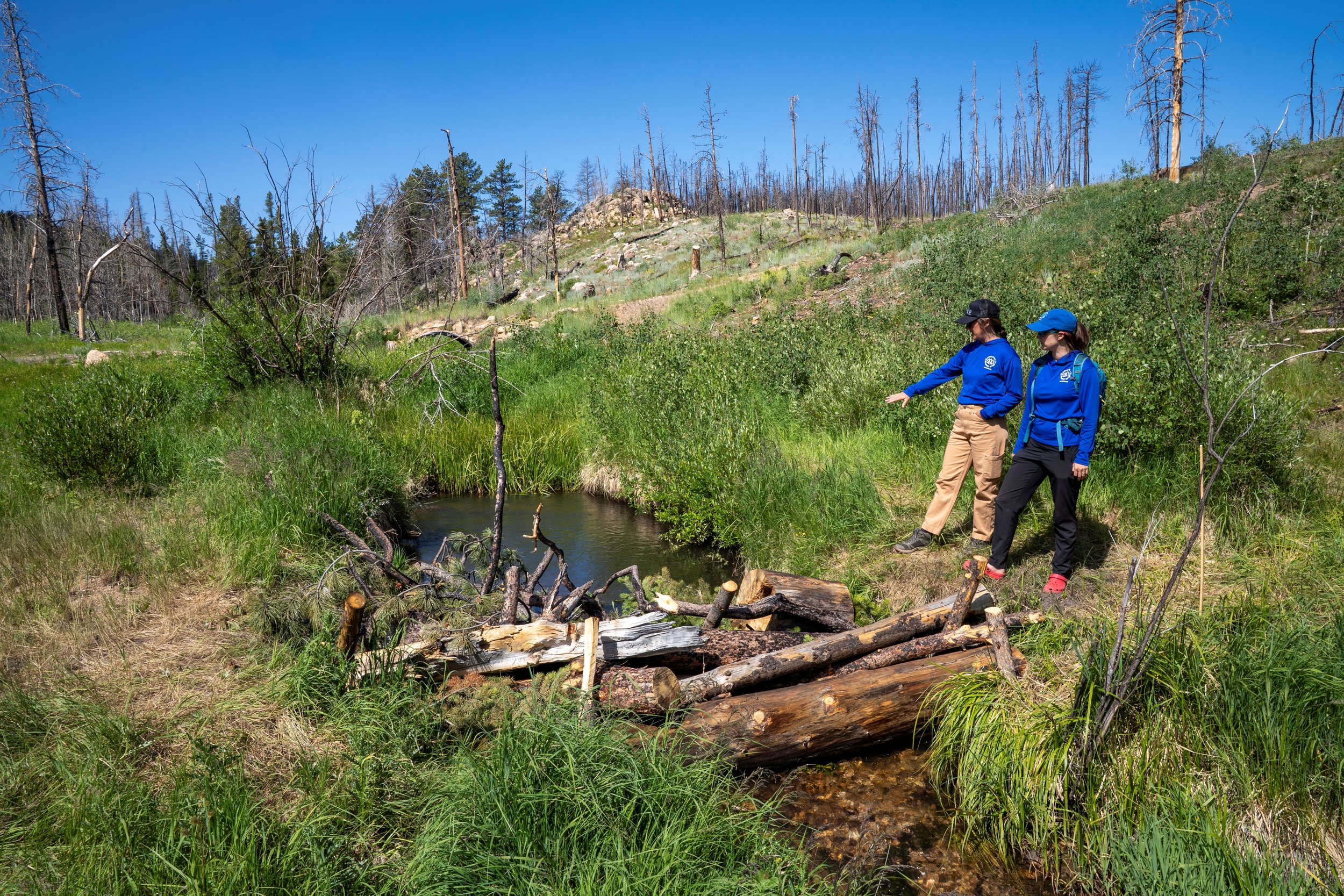Building Resilience, One Stream at a Time: CPRW’s 2025 Post-Fire Instream Restoration Season Recap