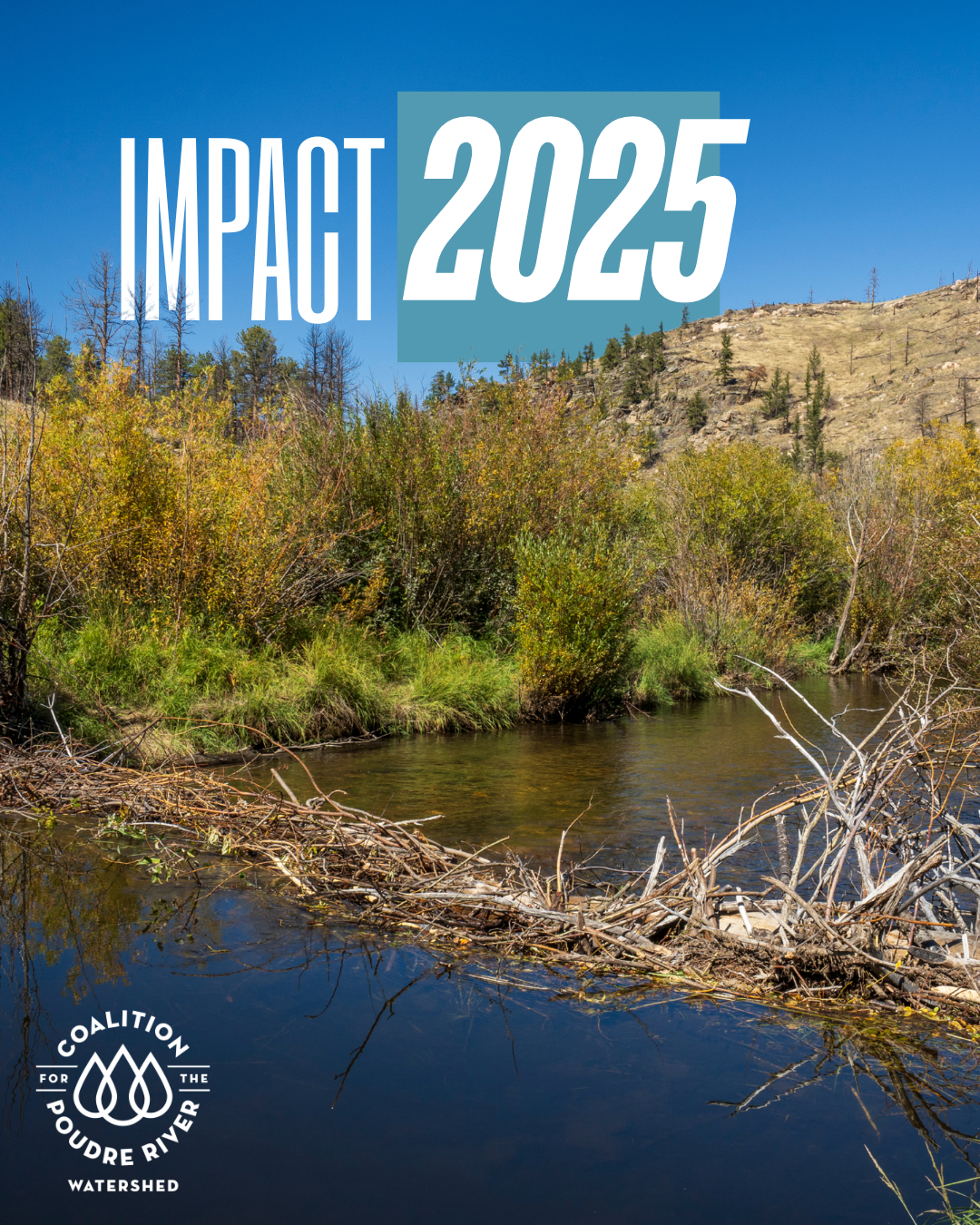 From Headwaters to Plains: 2025 Impact Across the Poudre Watershed