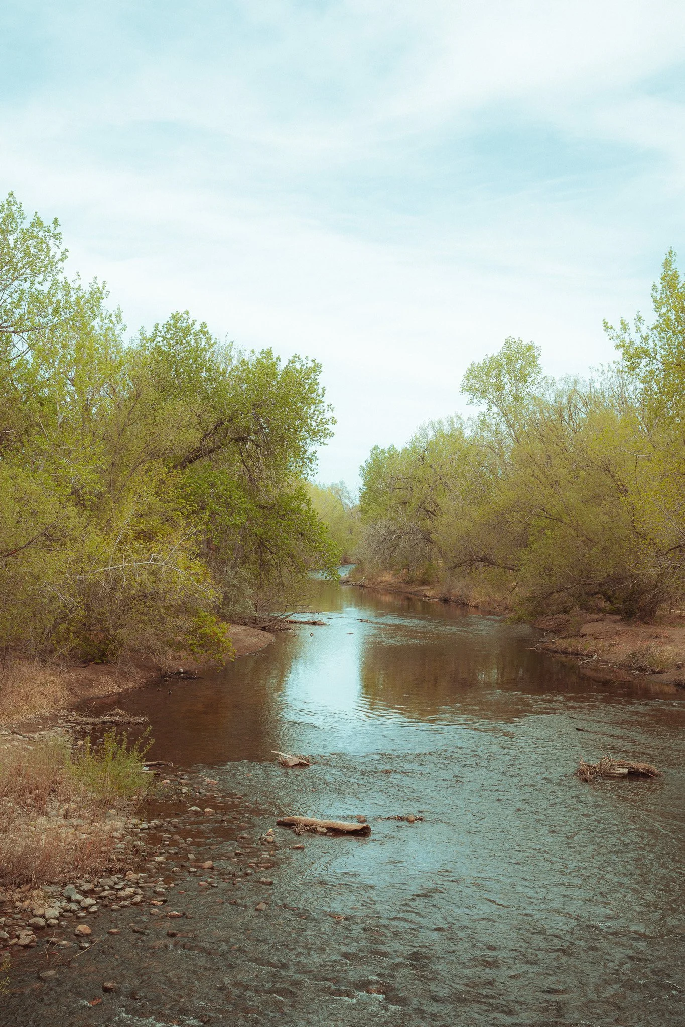From Bad to Ugly: What a Record-Low Snowpack Means for the Poudre Watershed