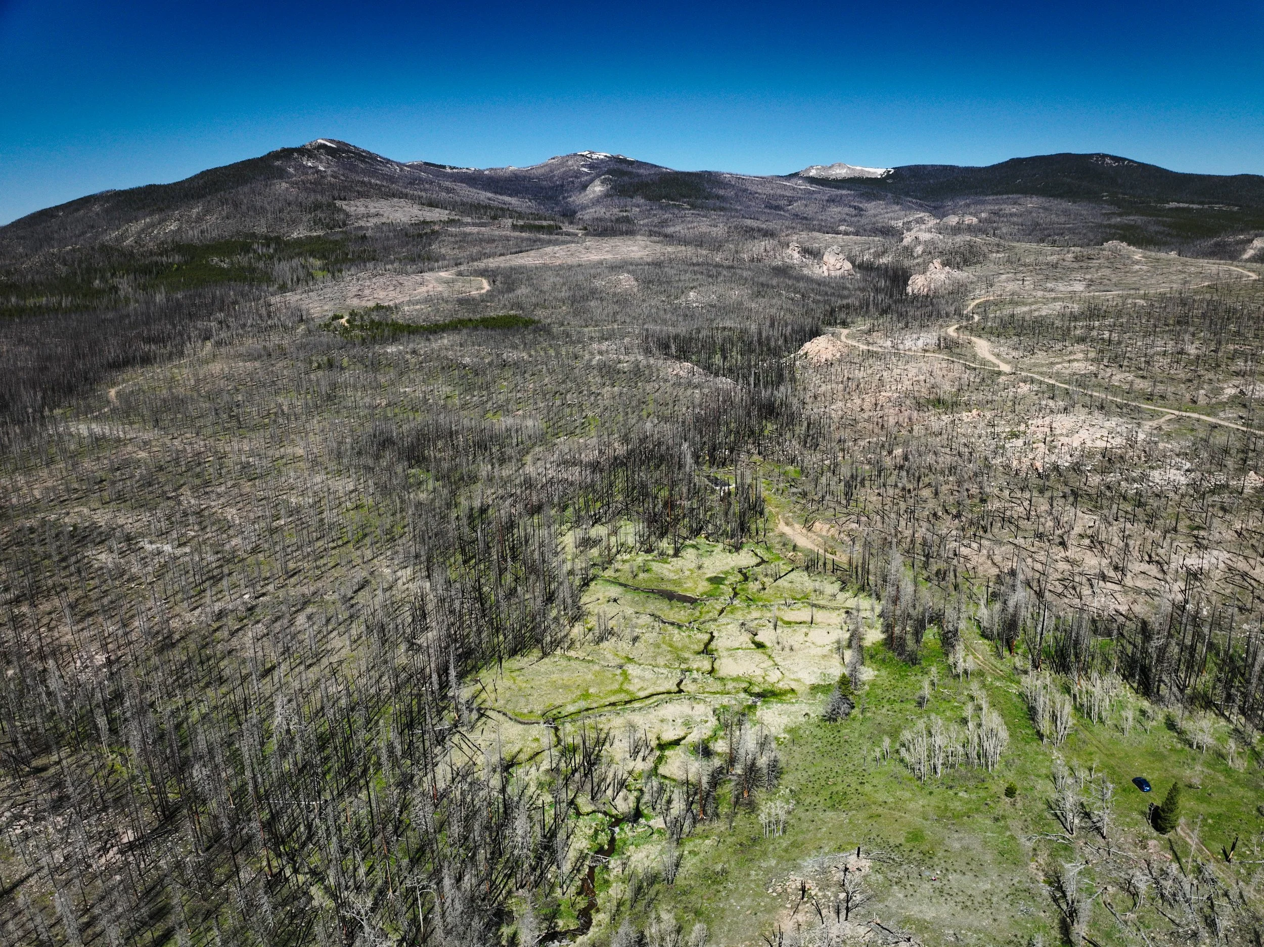 New Forest Service Report: "Integrating Watershed Restoration in Wildfire Management"